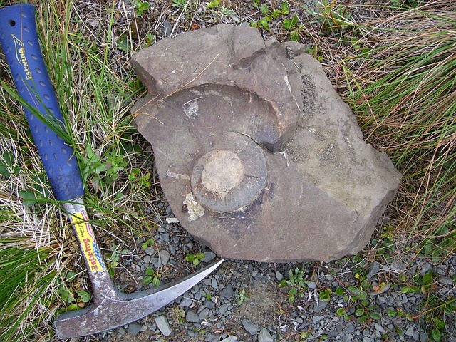 Geology rock hammer next to rock